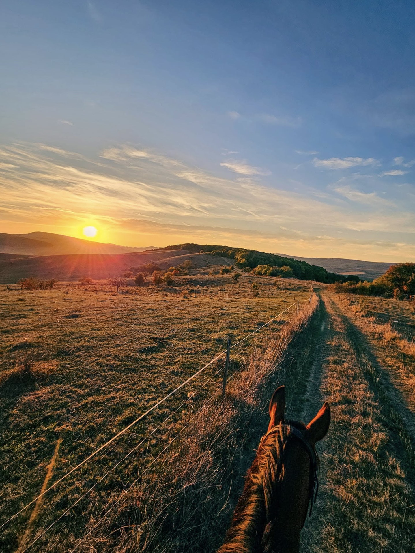 Egynapos és többórás tereplovaglás