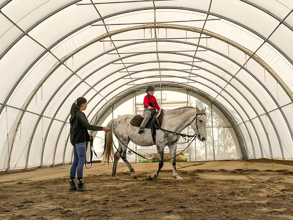 Kezdő futószáras oktatás - Oktatási program képe